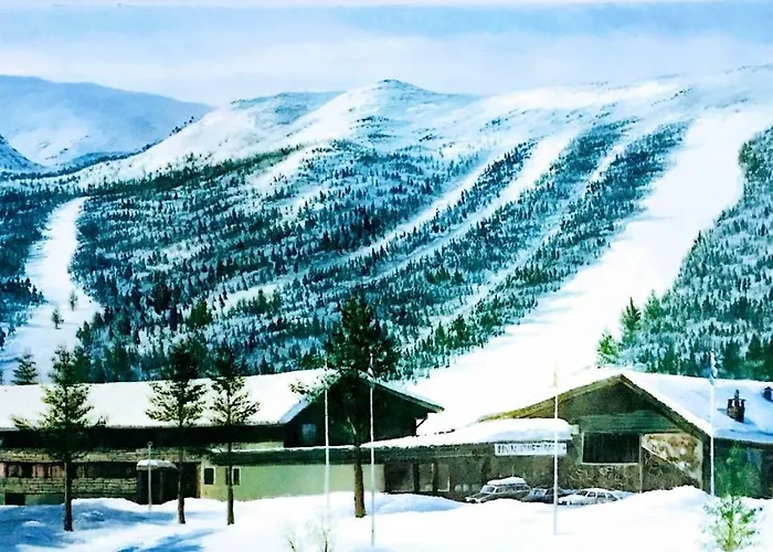 Hallingskarvet Fjellstue As