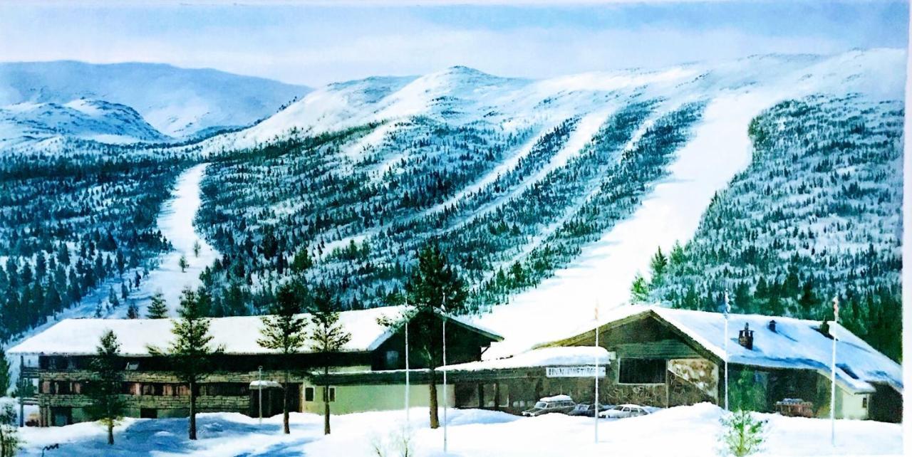 Hallingskarvet Fjellstue As Hotel Hovet